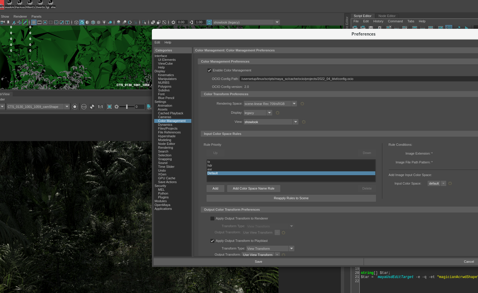 maya colormanagement preference